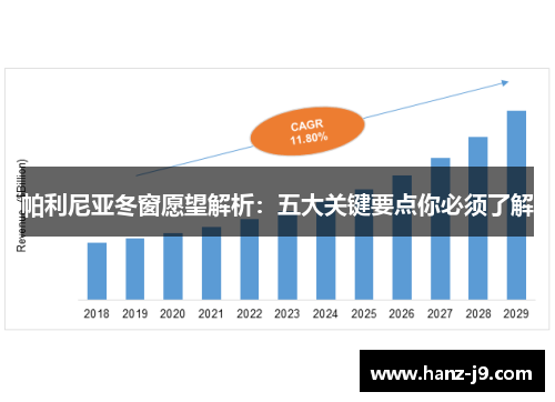 帕利尼亚冬窗愿望解析：五大关键要点你必须了解