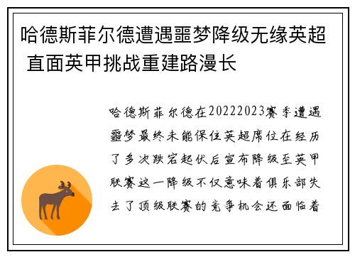 哈德斯菲尔德遭遇噩梦降级无缘英超 直面英甲挑战重建路漫长